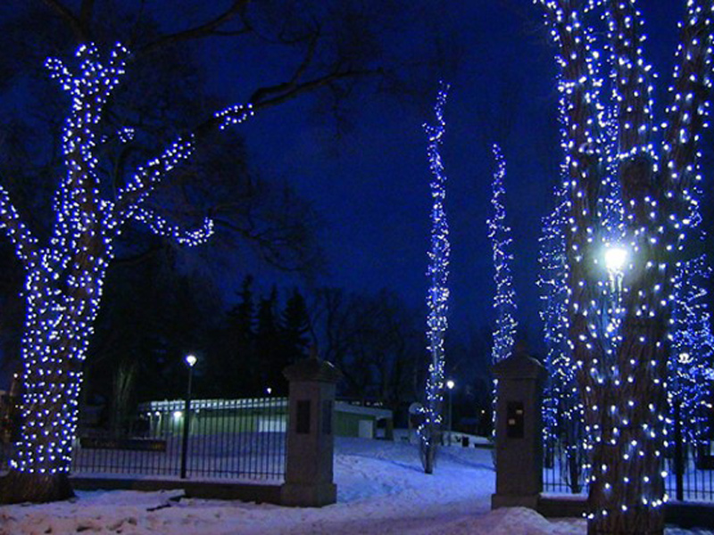 Lighting in Little Italy