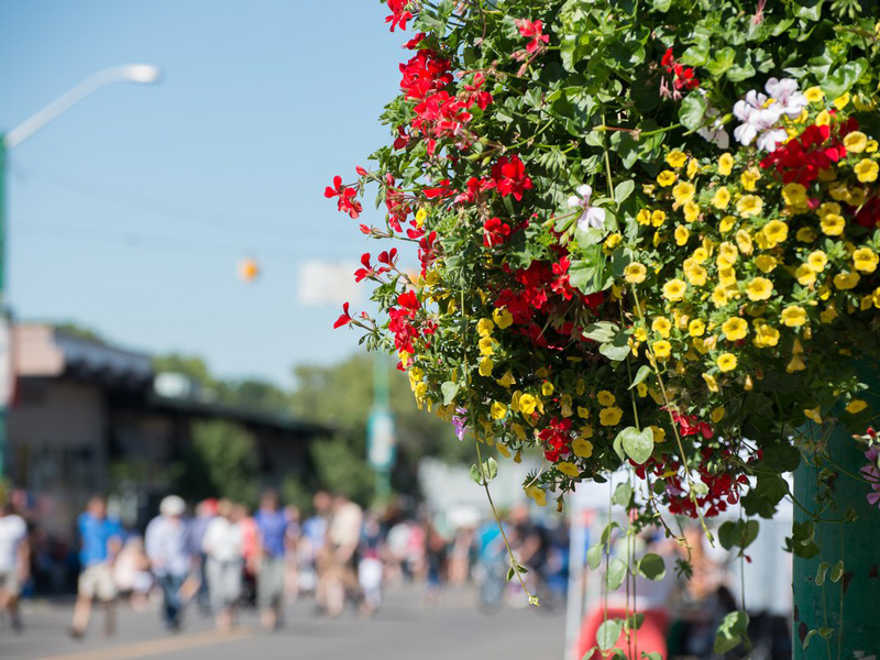 Viva Italia Beautification